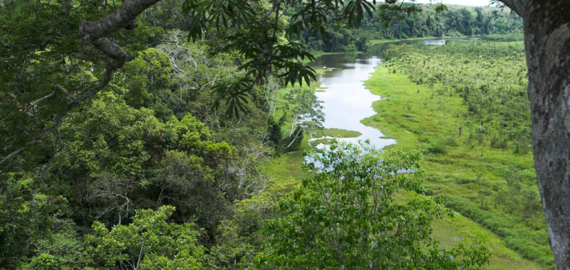Camungo Oxbow Lake.fw