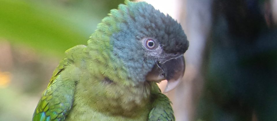 IMG_20230721_085520_1