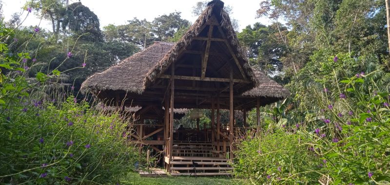 Shipetiari Pankotsi lodge